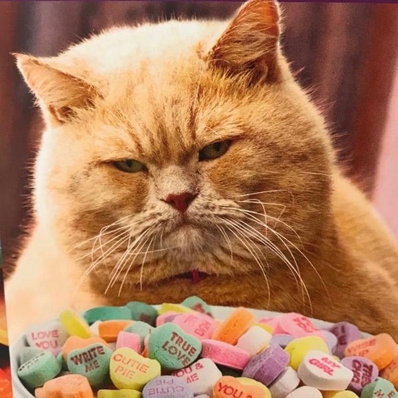 Open for business 24/7 🤩 - Picture 15 of 16